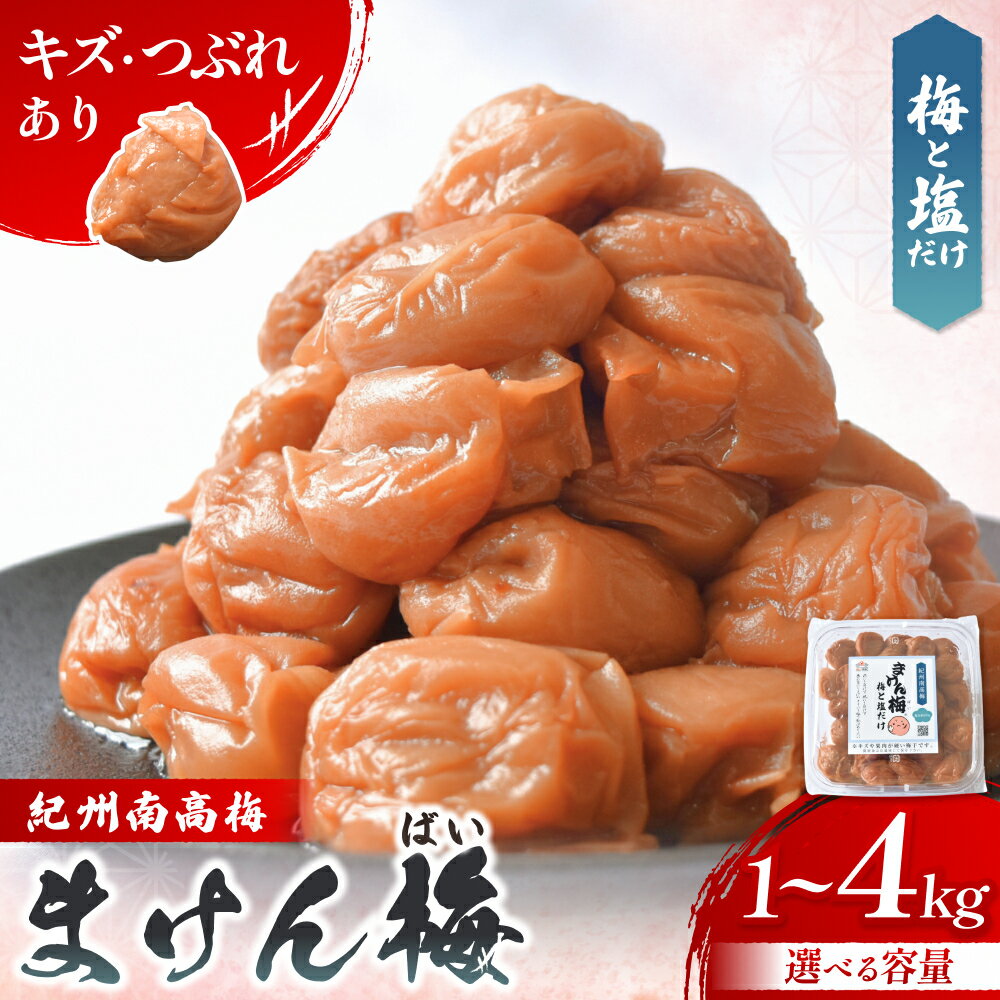 【ふるさと納税】 訳あり 梅干し まけん梅 梅と塩だけ 1kg～4kg（1パックあたり500g）| 訳あり 梅干 紀州南高梅 南高梅 梅 うめ ウメ 塩 家庭用