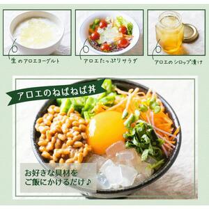 AC113　アロエベラ 食用 大きな生葉（4枚～5枚） 沖縄・宮古島産｜有機JAS