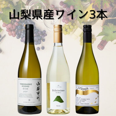 【ふるさと納税】山梨県産甲州ワイン3本セット(3)　046【1683687】