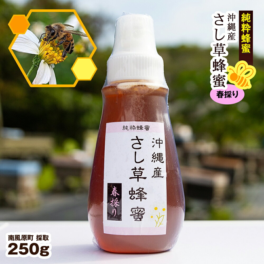 【ふるさと納税】純粋蜂蜜　沖縄産　さし草蜂蜜　春採り　250g　南風原町採取
