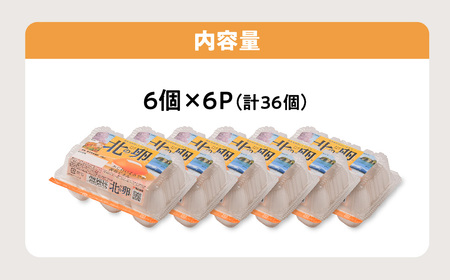 2週間以内に発送! たまご 卵 6個入り 6P MS ～ LLサイズ 小分け 北の卵 玉子 タマゴ 生たまご 生卵 生玉子 北のたまご 鶏卵 白卵 新鮮 お試し 家庭用 便利 たまごかけご飯 TKG 