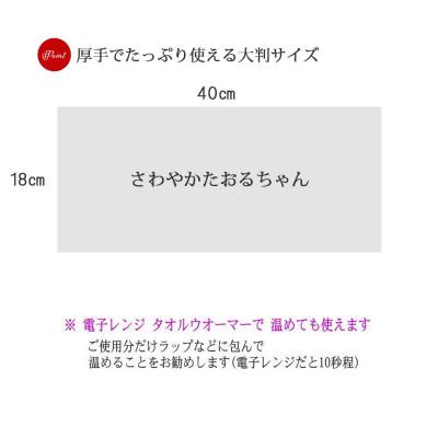 ふるさと納税 新居浜市 ウェットタオル 大判 厚手 さわやかたおるちゃん (詰め替え 150枚入) ×4個 【SPC】 |  | 03