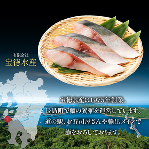 鹿児島県長島町産 鰤づくしAセット(全5種) ぶり 柵 刺身 ブリ 切り身 鰤 ぶりかま 魚セット 魚 冷凍【宝徳水産】houtoku-6000｜ ぶり ブリ 鰤 刺身 ぶり ブリ 鰤 刺身 ぶり ブ