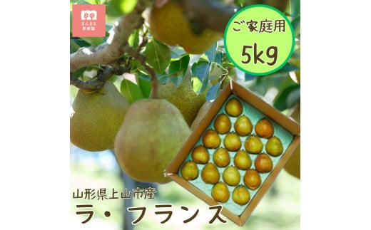 西洋梨（ラ・フランス）５ｋｇ　ご家庭用　0055-2515