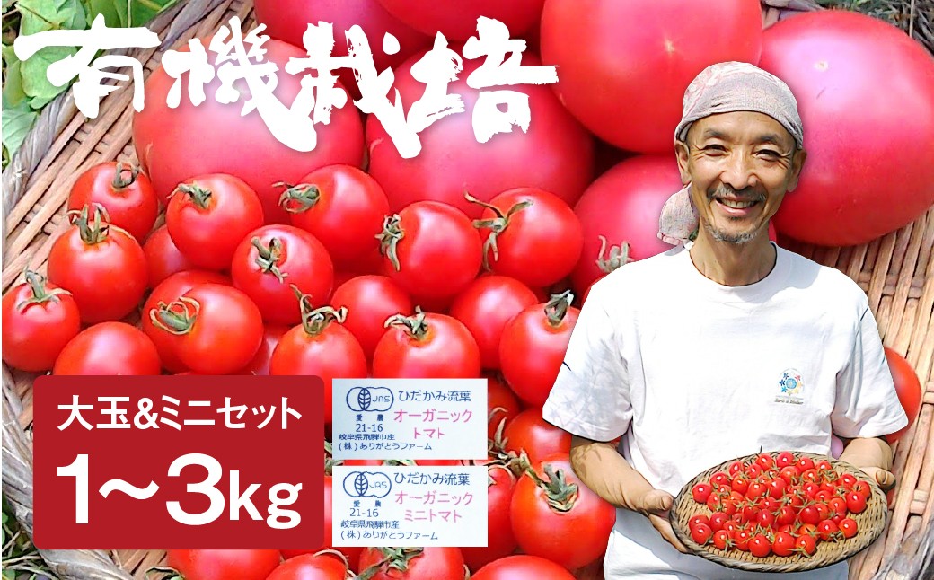 
                  【令和8年産 26年先行予約】トマトとミニトマトのセット 有機JAS認定 1kg 2kg 3kg とまと 大玉 甘い 特産 国産 野菜 ミニトマト 旬 有機野菜 ありがとうファーム 送料無料  [A0091x_26] 《hida0307》
                