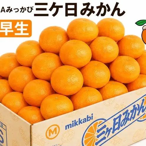 三ケ日みかん 早生【秀品】Sサイズ3kg(36個前後) ミカン 果物 くだもの フルーツ 甘い 静岡県 浜松市 果物類 柑橘類 