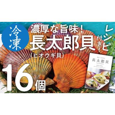 ふるさと納税 土佐清水市 【9月発送】冷凍 ヒオウギ貝 16個セット ホタテの仲間  真空パック BBQ 海鮮【R00803】