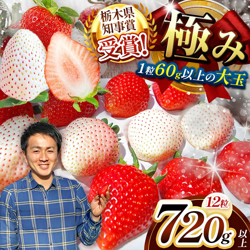 【ふるさと納税】いちご スカイベリー 極み×ミルキーベリー 極み 12粒 【2027年 先行予約】 | いちご イチゴ 苺 フルーツ スカイ ベリー ミルキー ベリー 果物 フルーツ お取り寄せ 贈答 プレゼント ギフト 紅白 おいしい ご褒美 産地直送 栃木県産 澳原いちご農園
