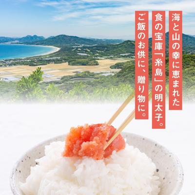ふるさと納税 糸島市 【訳あり】 辛子明太子 切れ子「すえっこ」280g やますえ [AKA040] |  | 01