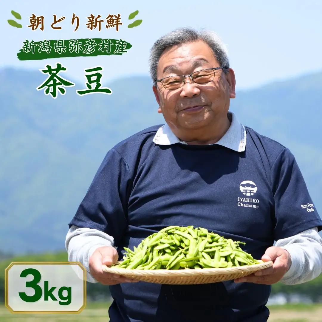 枝豆 茶豆 3kg | 朝どり新鮮 新潟県