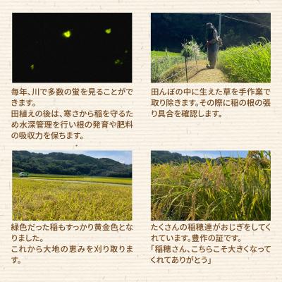 ふるさと納税 天草市 〈令和8年産〉熊本県天草産　天草の大地の恵み　新米コシヒカリ6kg【先行受付】_S108-003A |  | 03