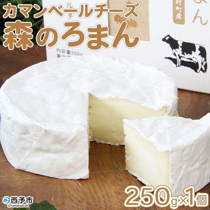 ＜カマンベールチーズ 「森のろまん」 250g×1個 ＞発酵食品 乳製品 加工品 生乳 伯方の塩 おつまみ ワイン おかず ピザ フォンデュ お料理 特産品 箱入り ギフト 国産 愛媛県 西予市