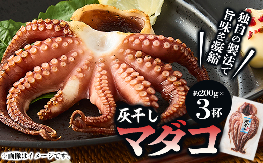 灰干しマダコ【配送不可地域：離島】