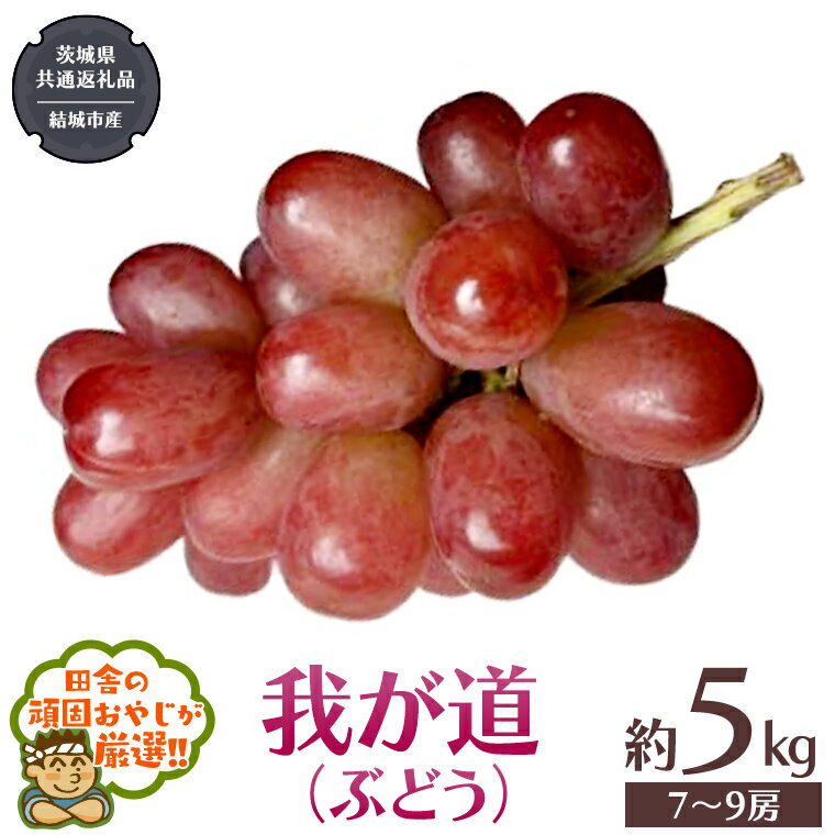 【ふるさと納税】我が道 （ ぶどう ） 約5キロ（7～9房）【2025年9月から発送開始】 （茨城県共通返礼品 [ぶどう]：結城市産） ぶどう 我が道 果物 フルーツ 季節 旬