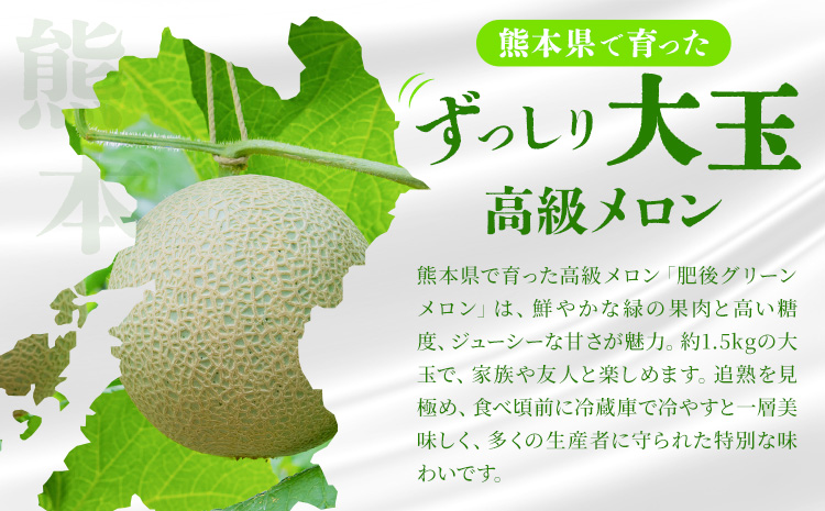 【先行予約】肥後グリーンメロン 4～6玉 約7kg 日本フルーツ株式会社《5月上旬-7月下旬頃出荷》熊本県 菊池市 メロン 熊本県産---308-5025---