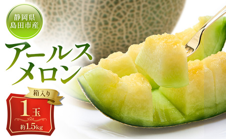 メロン 8月納品 静岡県産 アールスメロン 箱入り 1玉(約1.5kg) 果物 くだもの 果実 養液栽培 ポット 希少 甘み 島田市 静岡県