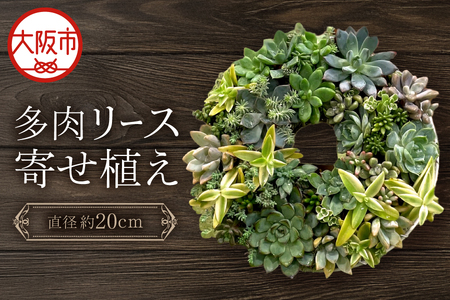【にじたま園芸部】多肉のリース寄せ植え【直径約20CM】_OS110-0001