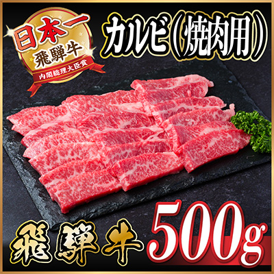 飛騨牛 カルビ 焼肉　500g【配送不可地域：離島】【1487355】