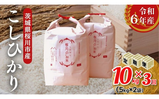 《 3ヶ月 定期便 》【生産者支援】《令和6年産》茨城県桜川市産 こしひかり 10kg ( 5kg × 2袋 ) × 3回 茨城県産 桜川 米 お米 白米 コメ ごはん 精米 コシヒカリ 国産 限定 [SC053sa]