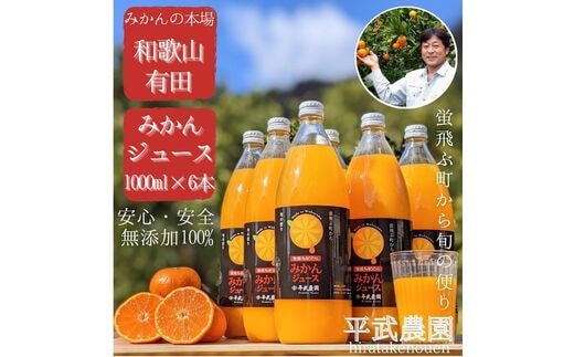 
										
										無添加100％みかんジュース6本セット【平武農園】～蛍飛ぶ町から旬の便り～
									