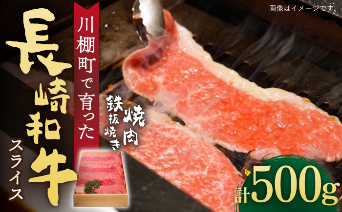 
【数量限定】【川棚町で育った】長崎和牛 焼肉・鉄板焼用 スライス 約500g【川下精肉店】 [OAA014]
