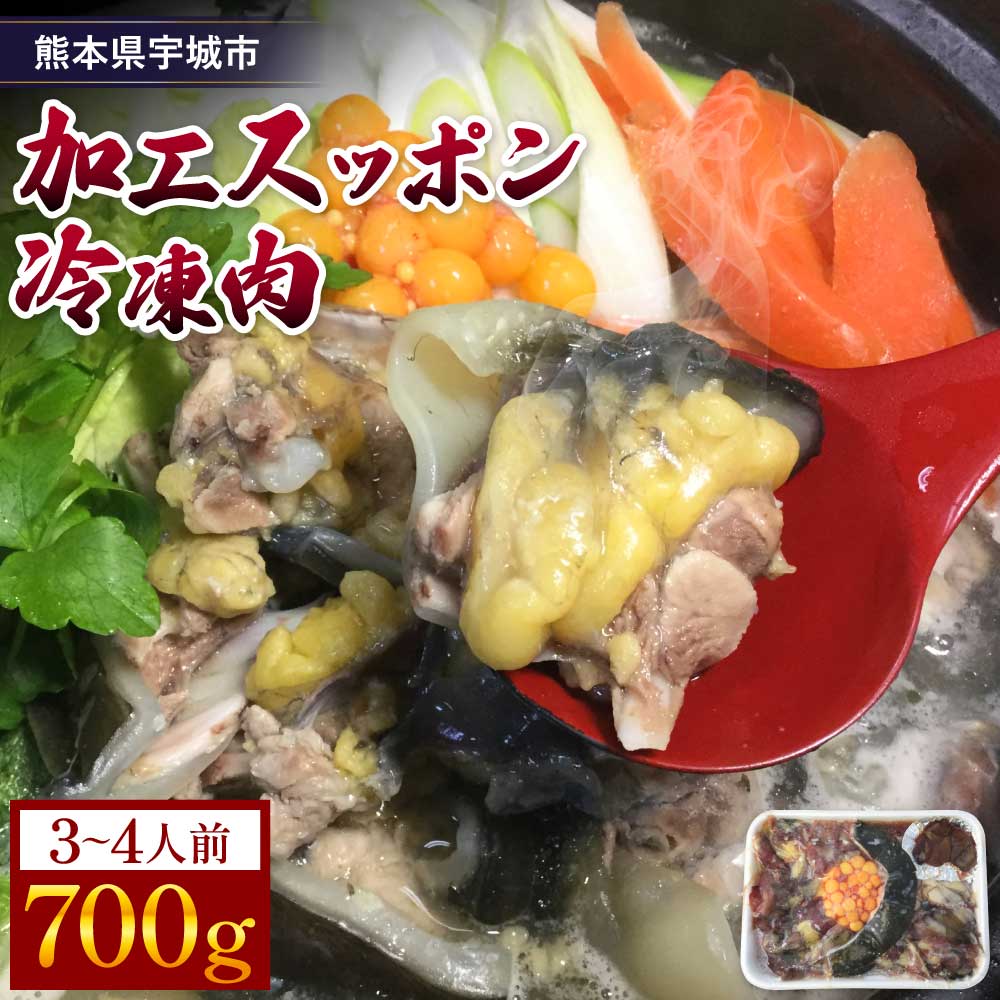 【ふるさと納税】 すっぽん 加工スッポン冷凍肉 約700g 鼈 鍋 お鍋 すっぽん鍋 スッポン鍋 鼈鍋 宇城市産 熊本県産 九州産 国産 冷凍