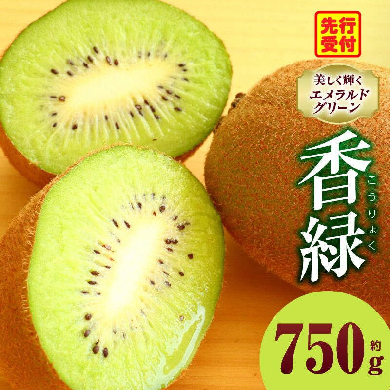 【ふるさと納税】キウイ 美しい緑が鮮やかな 香緑 約750g キウイ フルーツ 果物 旬 旬の果物 キウイフルーツ デザート 生鮮食品 贈り物 贈答 お裾分け おすすめ 人気 ギフト グルメ 特産品 果肉 季節 季節の果物 香川県 三木町 送料無料