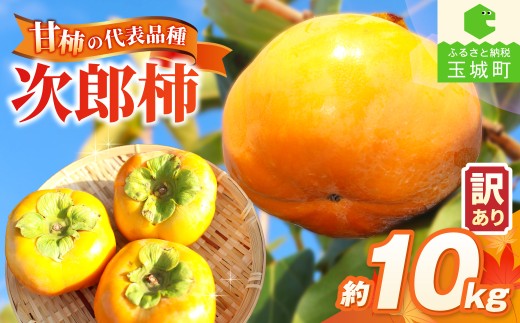 【先行予約】2026年度発送 玉城町産玉城次郎柿 訳あり品 約10kg 【 訳あり 柿 早生次郎柿 フルーツ 果物 甘柿 2026年10月下旬～11月下旬発送 】