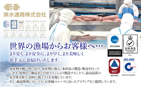 【県水の熟成まぐろ】熟成 本鮪 入りねぎとろ、漁師作りプレミアム、熟成 サーモン たたき、食べ比べ セット　計約2.0Kg ｜高品質 ねぎとろ 鮪 まぐろ 脂 たたき まぐろのたたき メバチ キハダ 