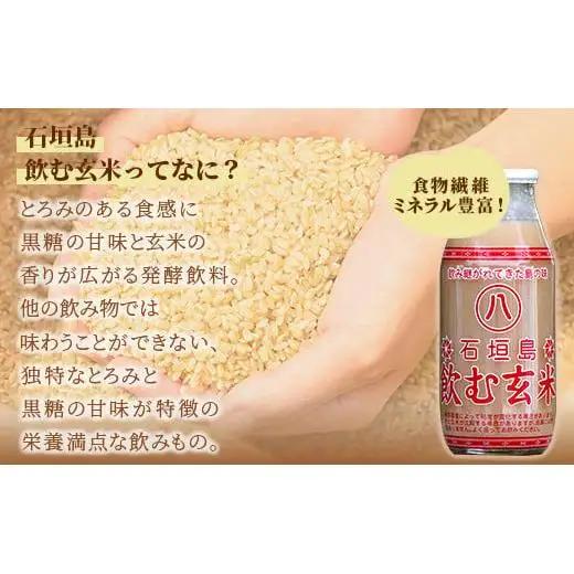 飲む玄米12本セット 　HY-1