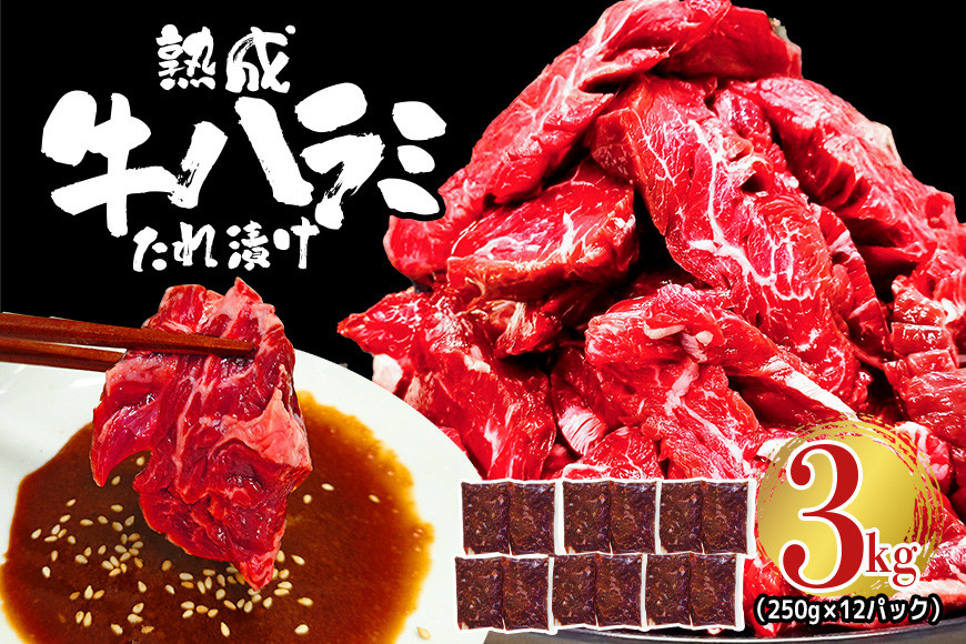 
            熟成牛ハラミ 3kg (250g×12パック) たれ 味付 小分け 冷凍 焼肉 焼き肉 牛 牛肉 ビーフ ハラミ BBQ 【そうざい男しゃく】【ho1470】
          