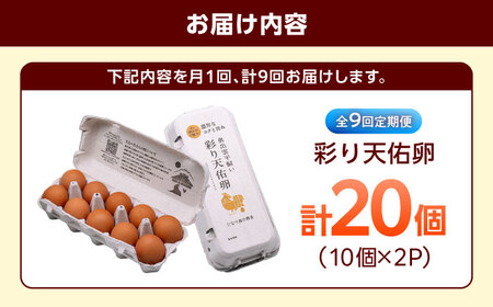 【9回定期便】彩り天佑卵 20個入り [AIDL014] 卵