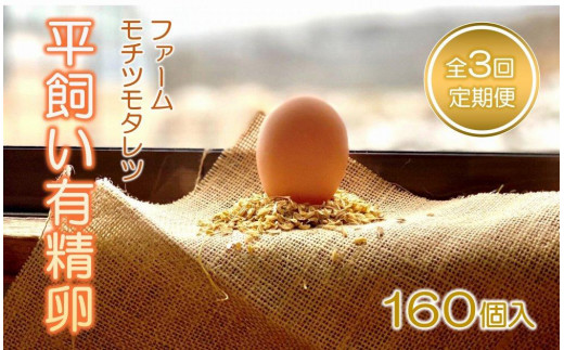 
                  【3回定期便】ファームモチツモタレツの平飼い有精卵（160個入） 【 卵 たまご タマゴ 玉子 卵焼き オムレツ 卵かけご飯 ゆで卵 鶏卵 卵黄 生卵 平飼い 長沼町 北海道 】
                