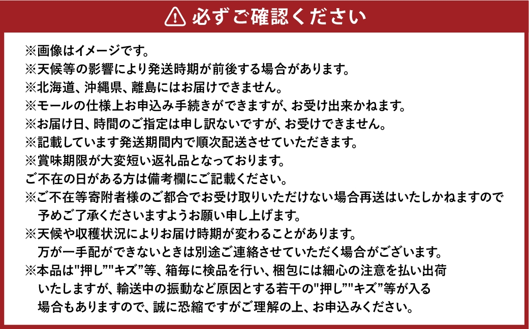 岡山白桃 エース 4～6玉 計約1kg