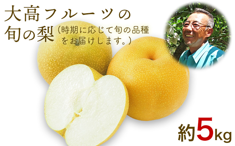 大高フルーツの旬の梨(幸水/豊水/秋麗/あきづき/甘太/新高)★約5kg(8-16玉前後)  《7月下旬-10月中旬頃出荷》予約受付中 フルーツ 秋 旬★熊本県玉名郡玉東町