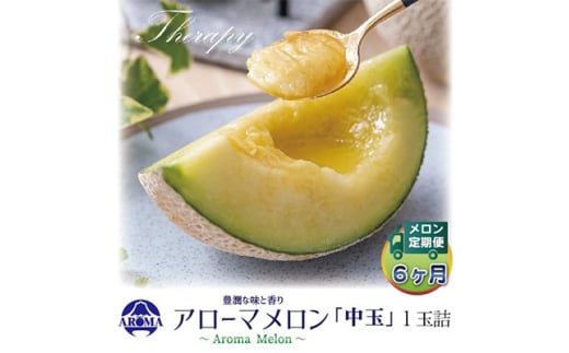 ＜毎月定期便＞アローマメロン白等級(中玉) 1玉 全6回【4013017】