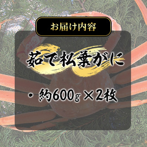 ＜数量限定！11月～3月上旬発送予定＞茹で松葉がに(2枚・計約1.2kg) 国産 魚介 海鮮 カニ かに 蟹 松葉ガニ 松葉蟹 ズワイガニ ずわいがに ボイル 冷蔵 【T-DI5】【大山ブランド会】