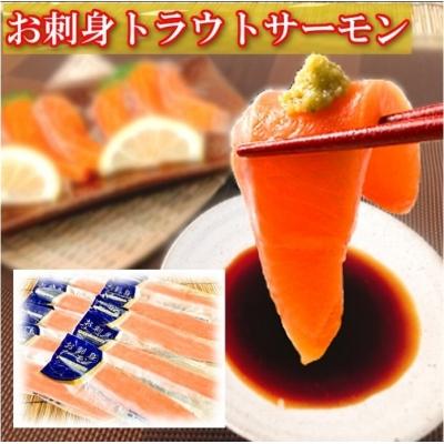 ふるさと納税 根室市 お刺身トラウトサーモン600g、塩さばフィレ8P A-09064