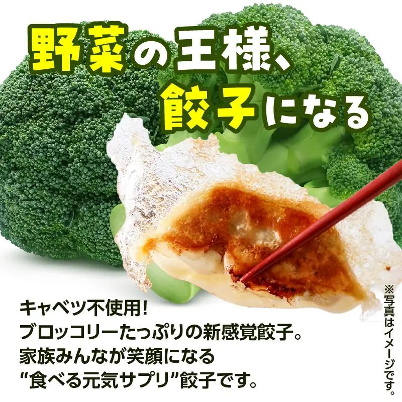 げんきモリモリ 生餃子 144個 K027-010_03 肉 豚肉 惣菜 総菜 冷凍