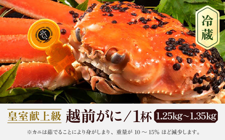 ≪浜茹で≫越前がに 超特 皇室献上級 1杯（約1.3kg前後）大人約2人前 食べ応え充分【3月発送分】【雄 ズワイガニ かに カニ 蟹 越前ガニ 姿 ボイル 冷蔵 福井県】希望日指定可 備考欄に希望日
