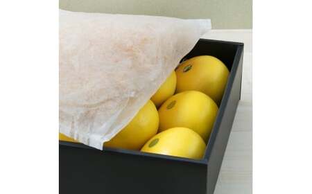 【先行予約】秀品 ☆高知産 土佐文旦☆ 3L 8玉入【贈答用】〈2027年1月下旬頃より順次発送〉/ 柑橘 フルーツ 先行予約 ぶんたん ブンタン 果物 お取り寄せ【TAMURAKAJUEN】