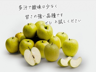 りんご 王林 西樹園 青森県産 りんご【約5kg 12〜18玉】
