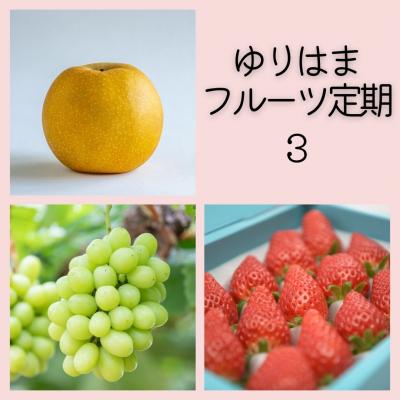 ふるさと納税 湯梨浜町 ゆりはまフルーツ定期(3)(37M.)