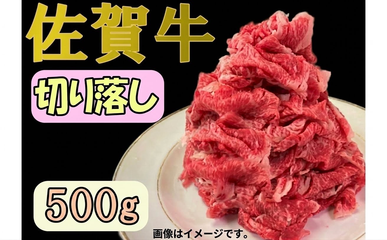 
                  佐賀牛切り落とし500g
                
