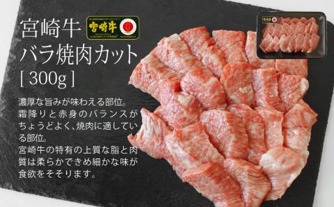 【宮崎牛】特上セット ロース ステーキ 100g×2 & 霜降り スライス 300g & 牛バラ焼肉 300g 計800g [SHINGAKI 宮崎県 美郷町 31ag0066] 牛肉 焼肉 鉄板焼き