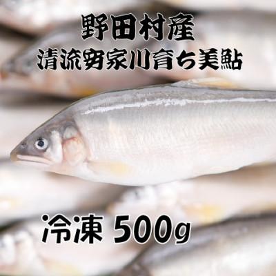 ふるさと納税 野田村 野田村産　清流安家川育ち美鮎　500g