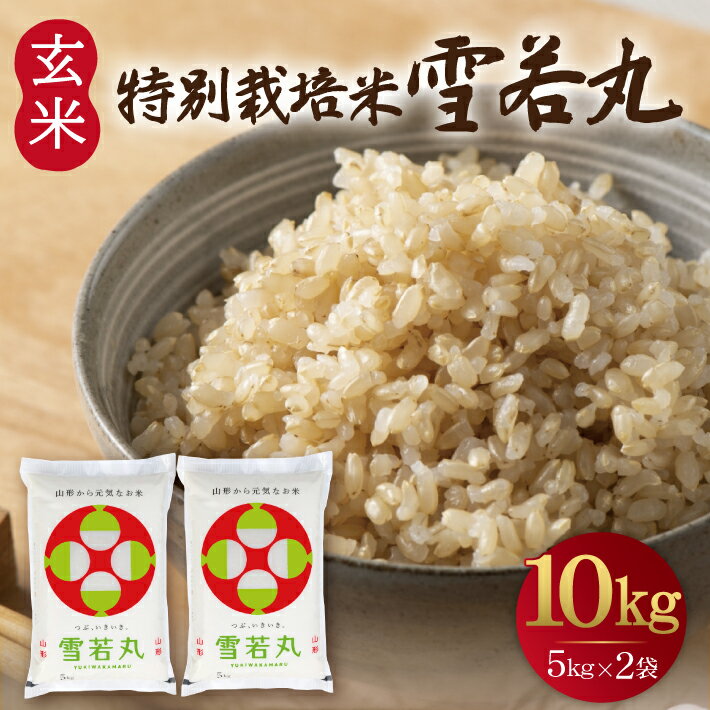 【ふるさと納税】雪若丸 玄米 計10kg 5kg×2袋 特別栽培米 令和7年産 山形県酒田産 ご希望の時期頃お届け 米 玄米 お米 庄内米 ブランド米 ご飯 ごはん 東北 酒田市 庄内地方 庄内平野 農家直送 産地直送