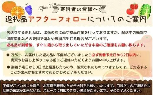 ≪家庭用≫ 清見 オレンジ 10kg / くだもの 甘い きよみ 柑橘 果物 和歌山 ※2027年3月上旬～3月中旬頃に順次発送 【nktn011-c-10】