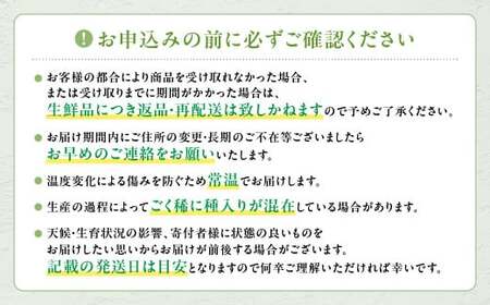 【2025年発送】シャインマスカット（1房）&マイハート（1房）約1.2㎏［ぶどう　葡萄　シャイン　シャインマスカット　マイハート　くだもの　果物　フルーツ　人気　2種　詰め合わせ　ギフト　贈答　新鮮