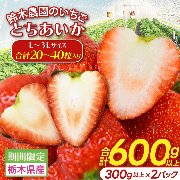 【合計20～40粒入り】いちご とちあいか 600g以上 (300g以上×2パック)｜栃木県 益子町 ふるさと納税 鈴木農園 L 2L 3L ご家庭用 家族用 食べやすい 一口サイズ 粒たっぷり 大満足 いちご イチゴ 苺 果物 フルーツ とちあいか 人気 600g以上 1パックあたり10～20粒入り （DJ003）